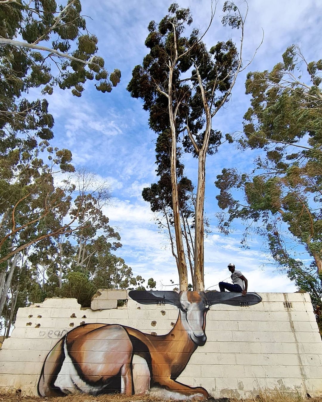 Falko one @ Riebeek West, South Africa