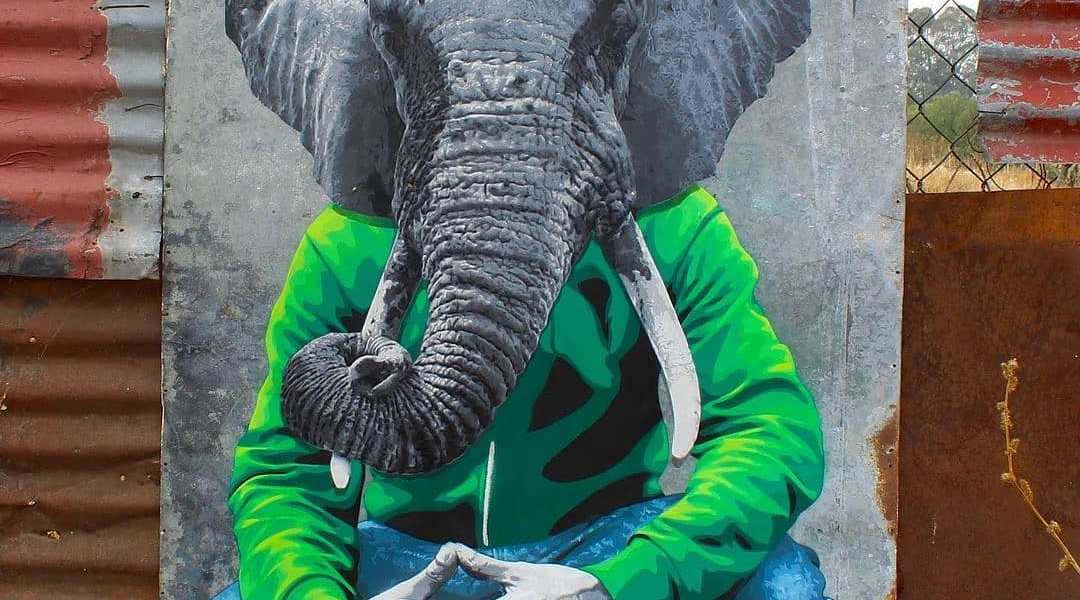 Funky Cook @ San Miguel Tlaixpan, Mexico