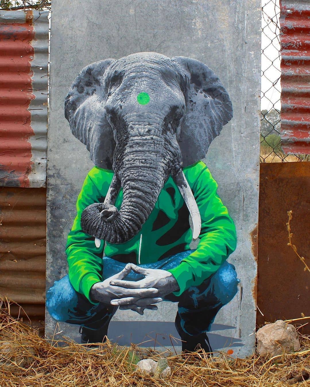 Funky Cook @ San Miguel Tlaixpan, Mexico