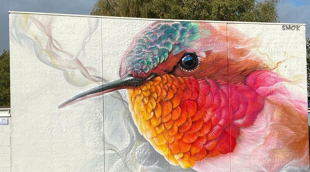 Smok @ Sint-Niklaas, Belgium