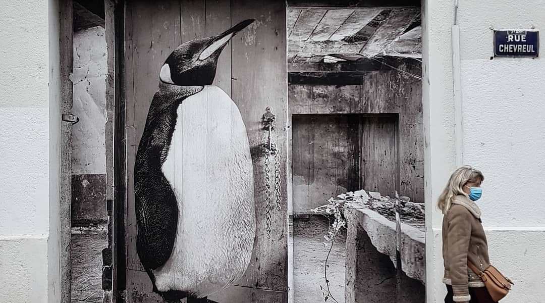 SONAC by Sophie photographe @ Lyon, France