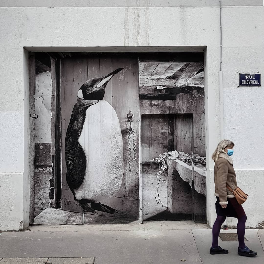 SONAC by Sophie photographe @ Lyon, France SONAC by Sophie photographe @ Lyon, France