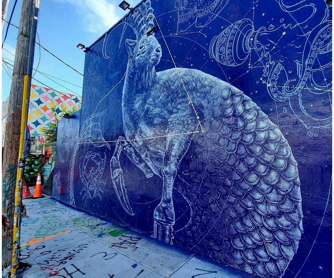 Alexis Diaz @ Miami, USA