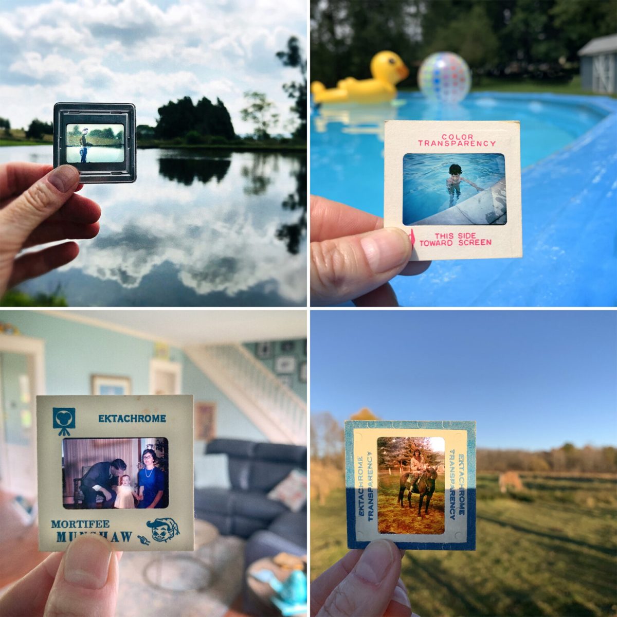 Catherine Panebianco