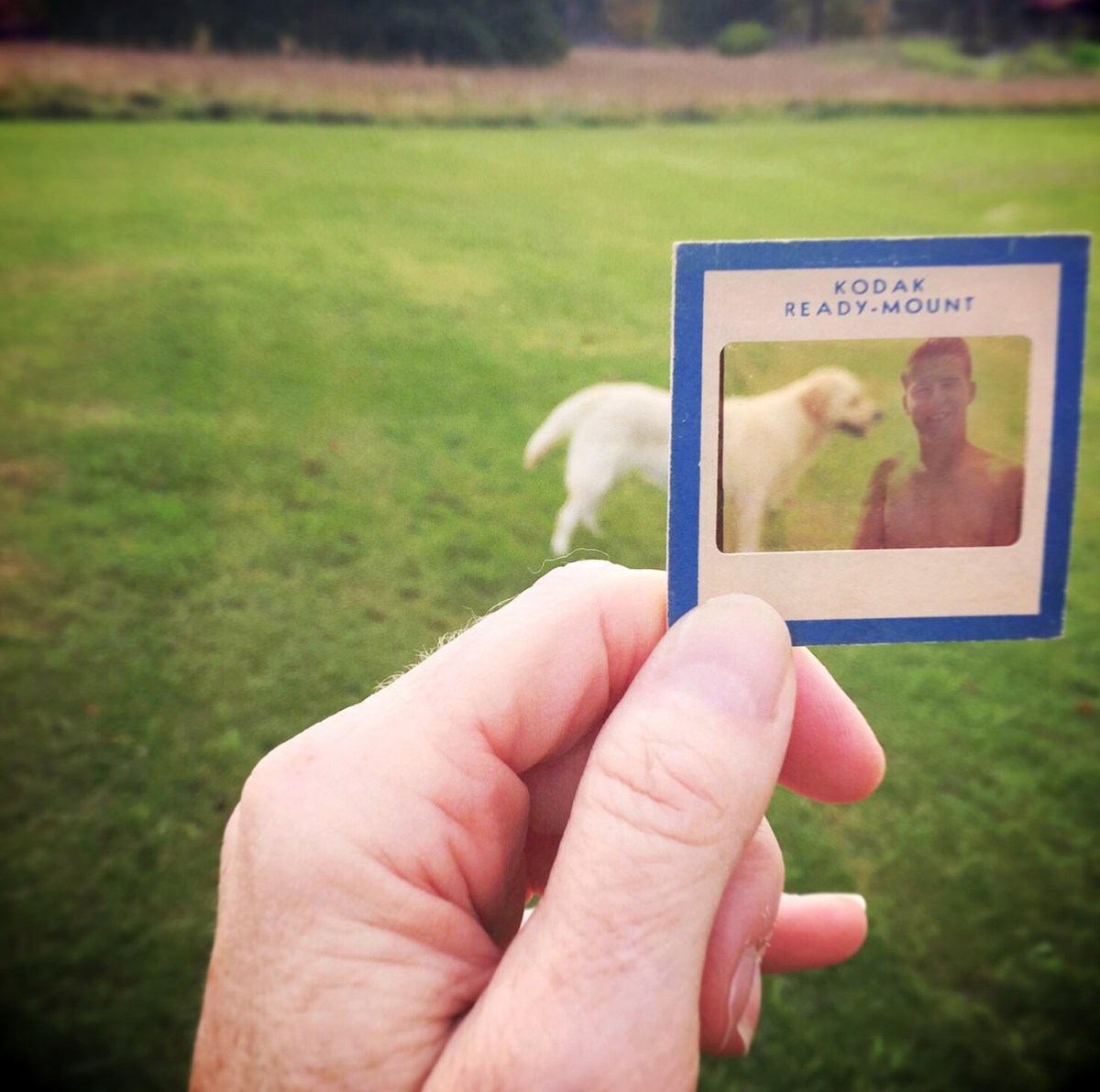 Catherine Panebianco