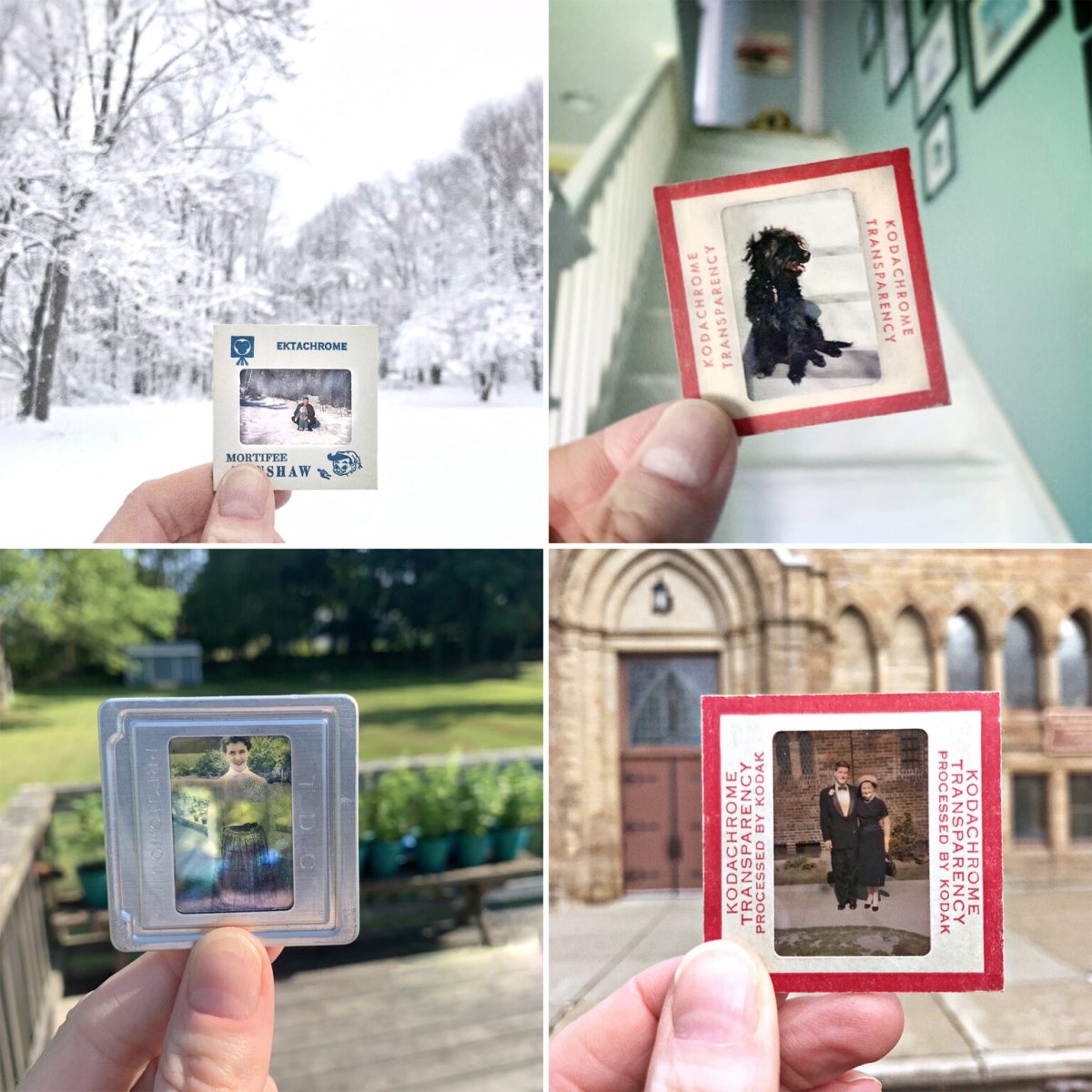 Catherine Panebianco