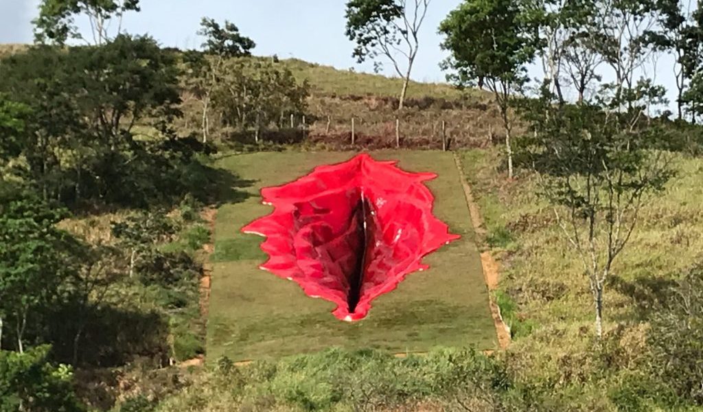 Diva by Juliana Notari