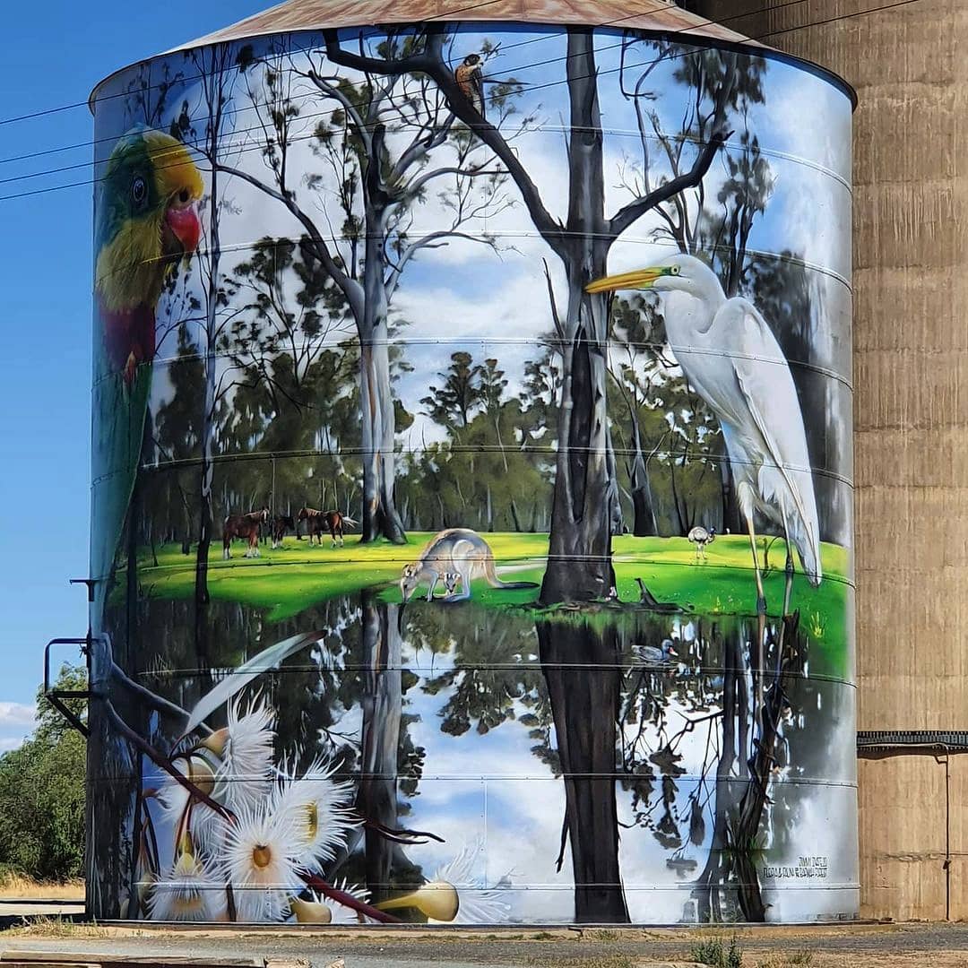 DVate @ Picola, Australia