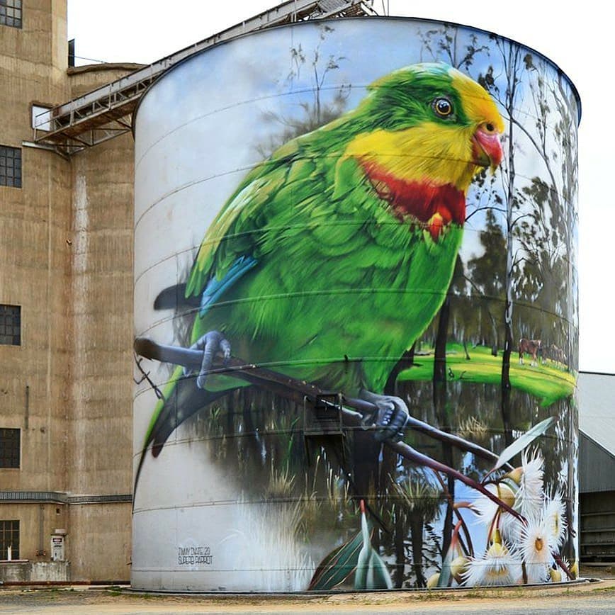 DVate @ Picola, Australia