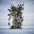 Frozen Flowers by Azuma Makoto