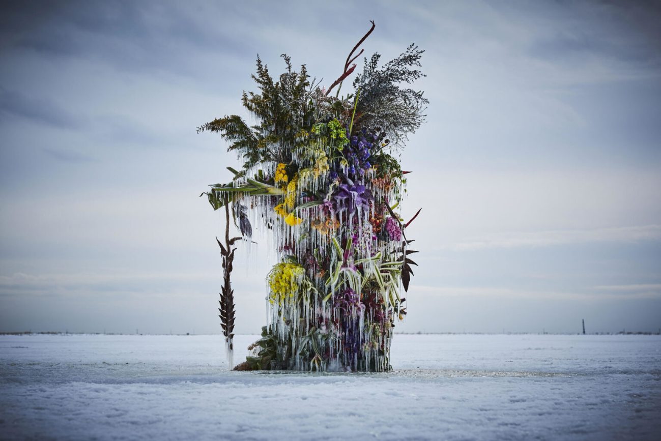Frozen Flowers by Azuma Makoto