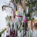 Frozen Flowers by Azuma Makoto