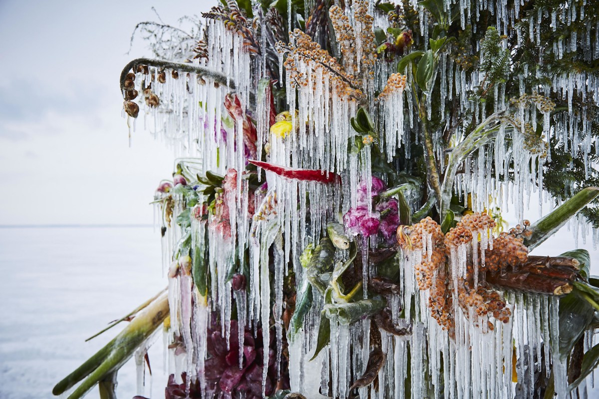 Frozen Flowers by Azuma Makoto