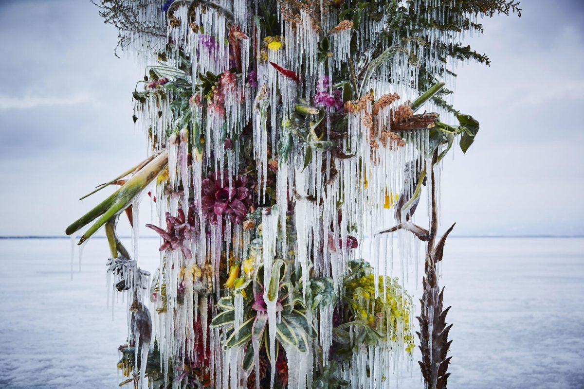 Frozen Flowers by Azuma Makoto