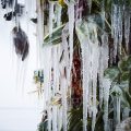 Frozen Flowers by Azuma Makoto