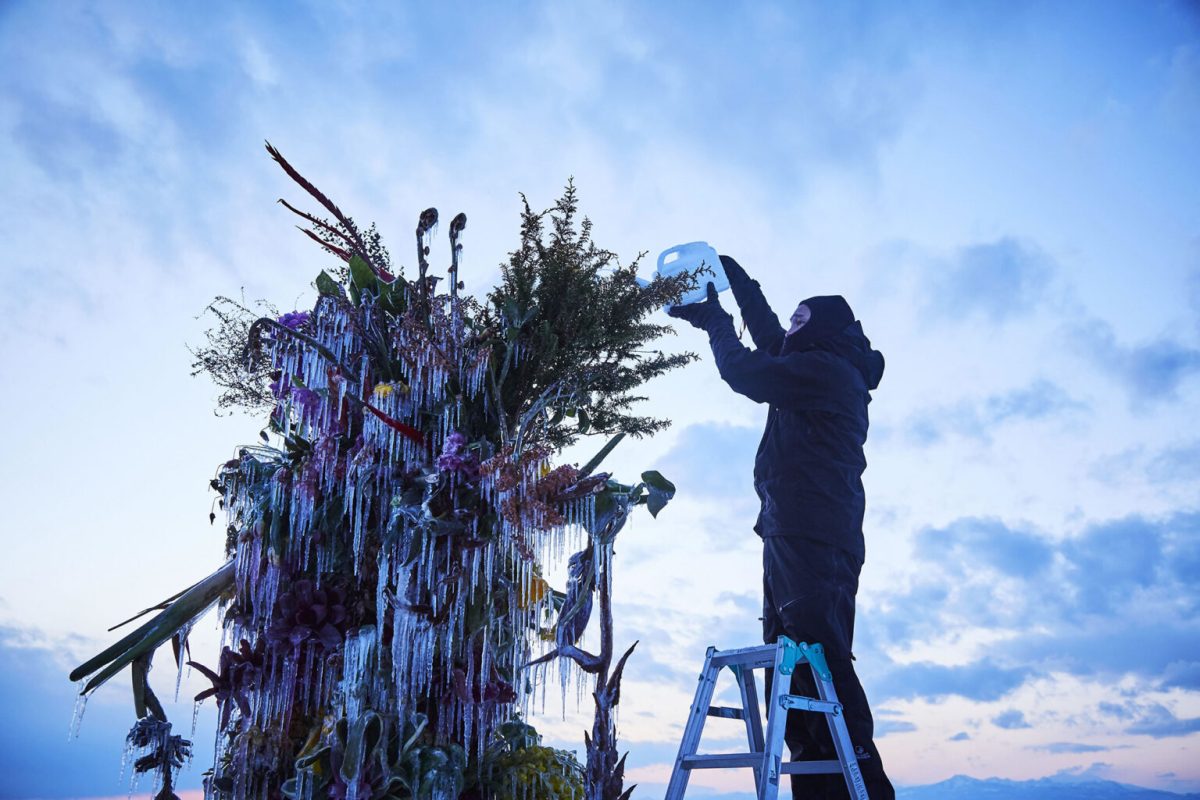 Frozen Flowers by Azuma Makoto