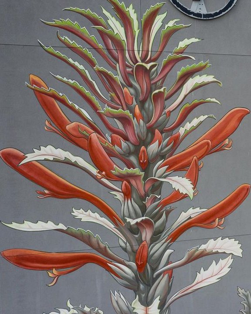 Mona Caron @ San Francisco, USA