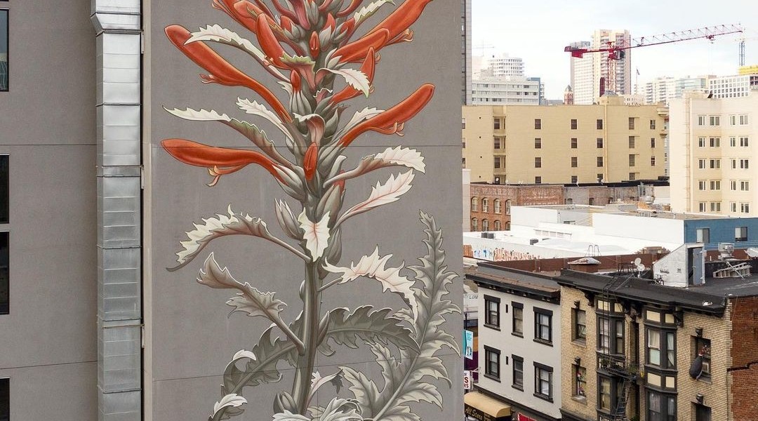 Mona Caron @ San Francisco, USA