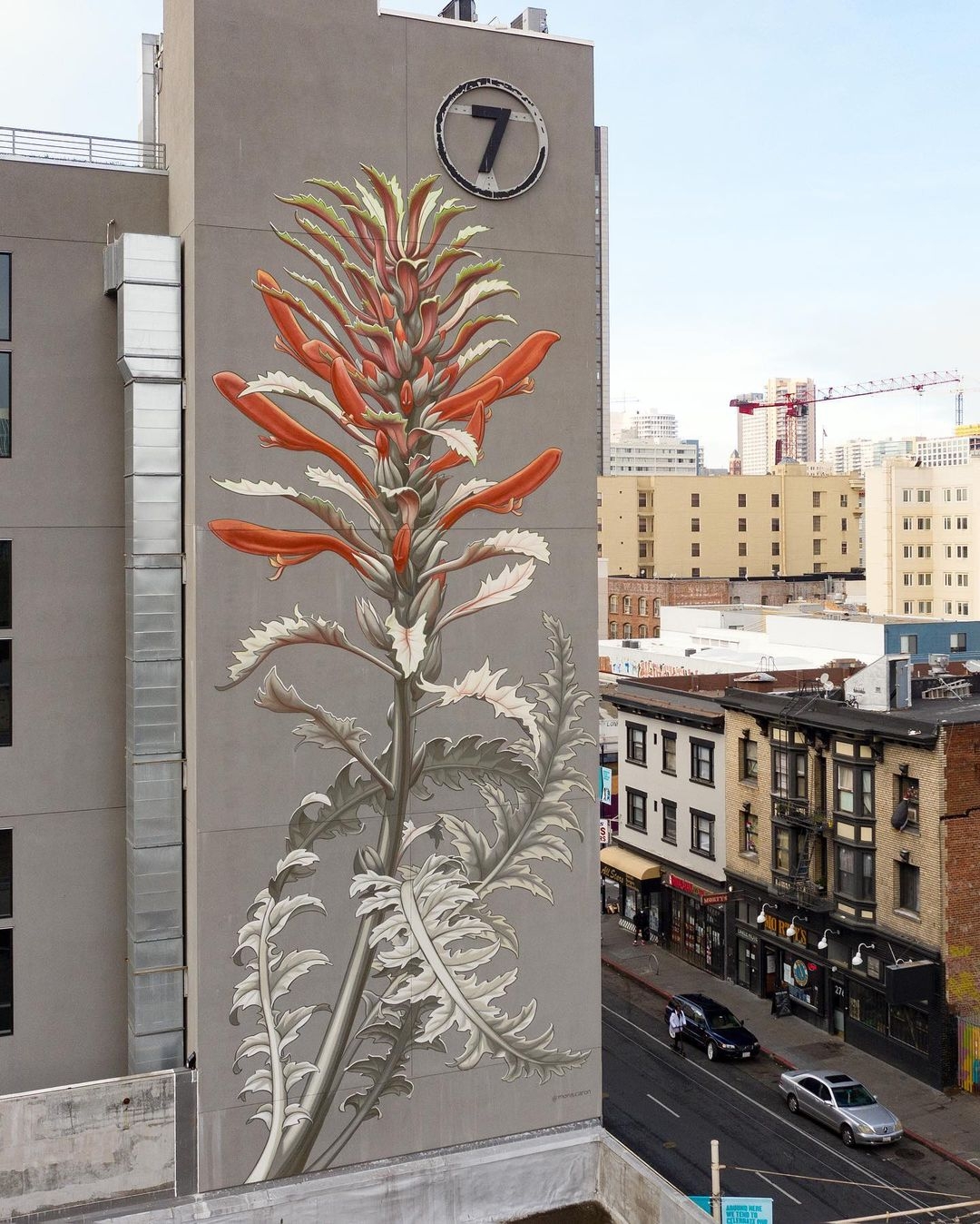 Mona Caron @ San Francisco, USA