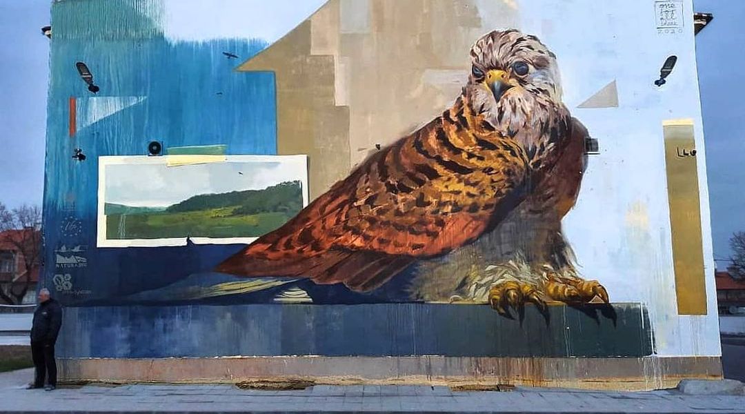 One For All Ideas @ Svilengrad, Bulgaria