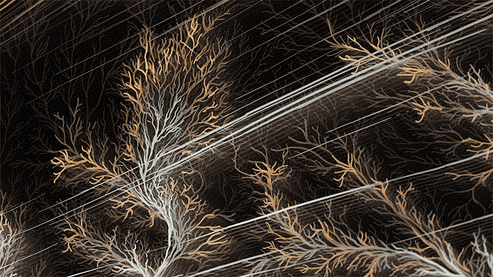 Pulse by Claudia Bueno