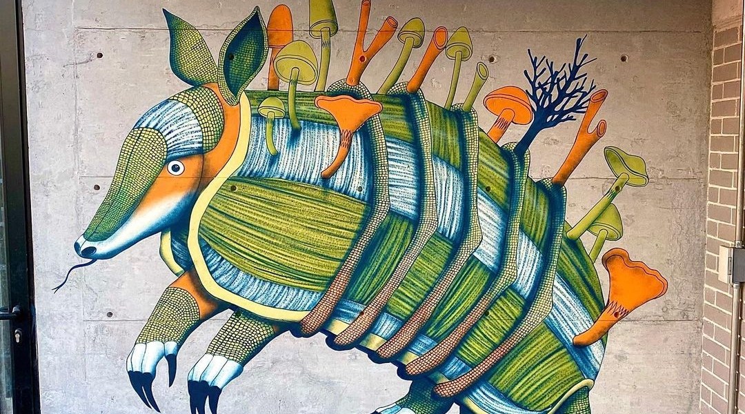 Sego y Ovbal @ Mexico