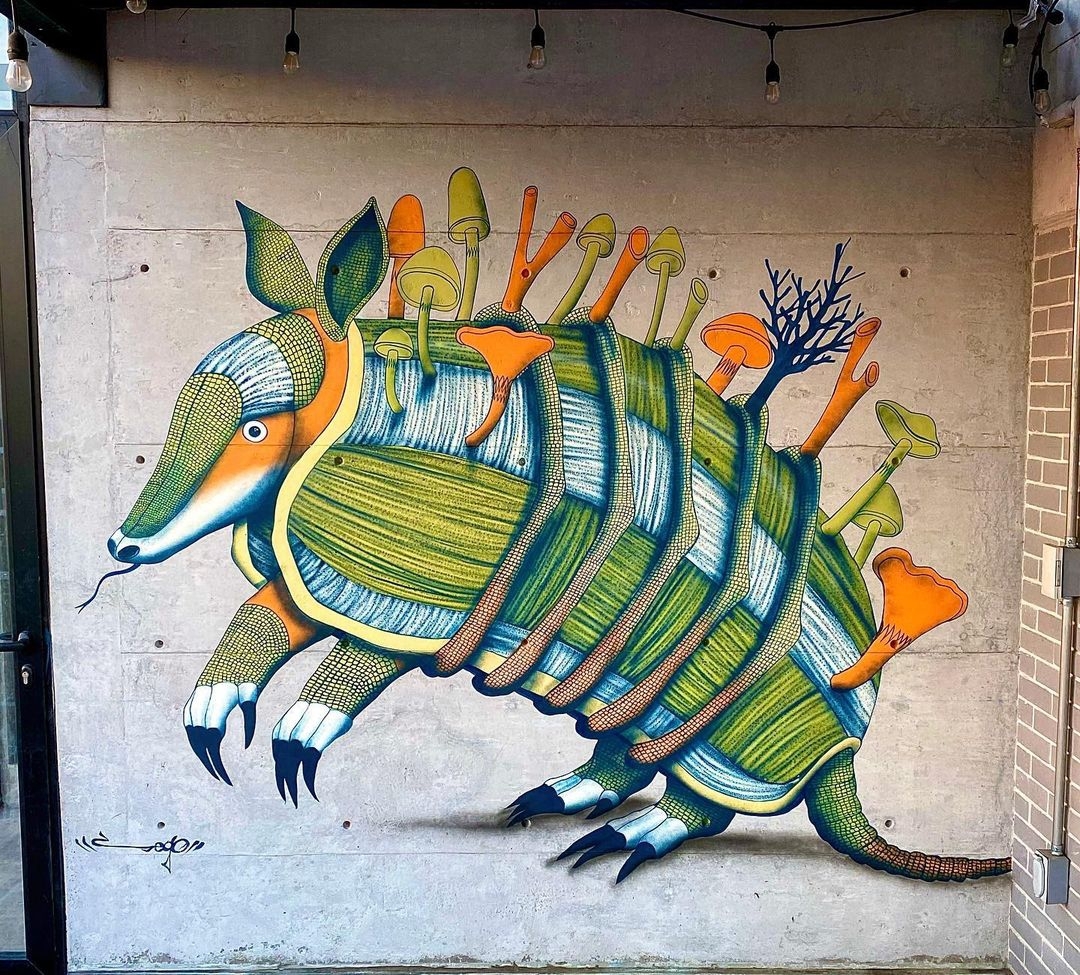 Sego y Ovbal @ Mexico