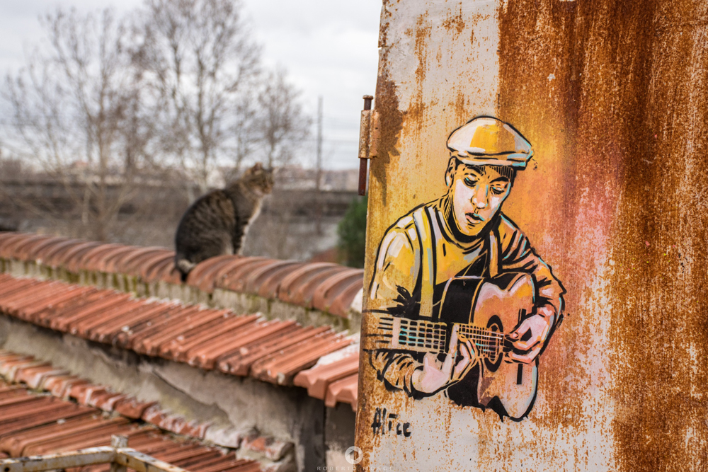 Alice Pasquini @ Rome, Italy. Photo by Roberto Morgi
