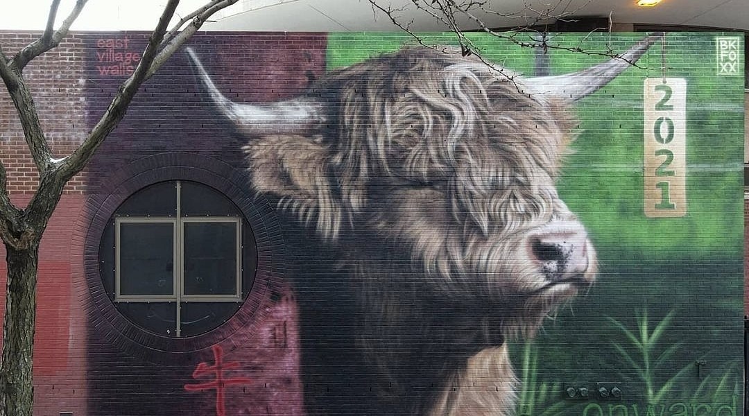 BKFoxx @ New York, USA