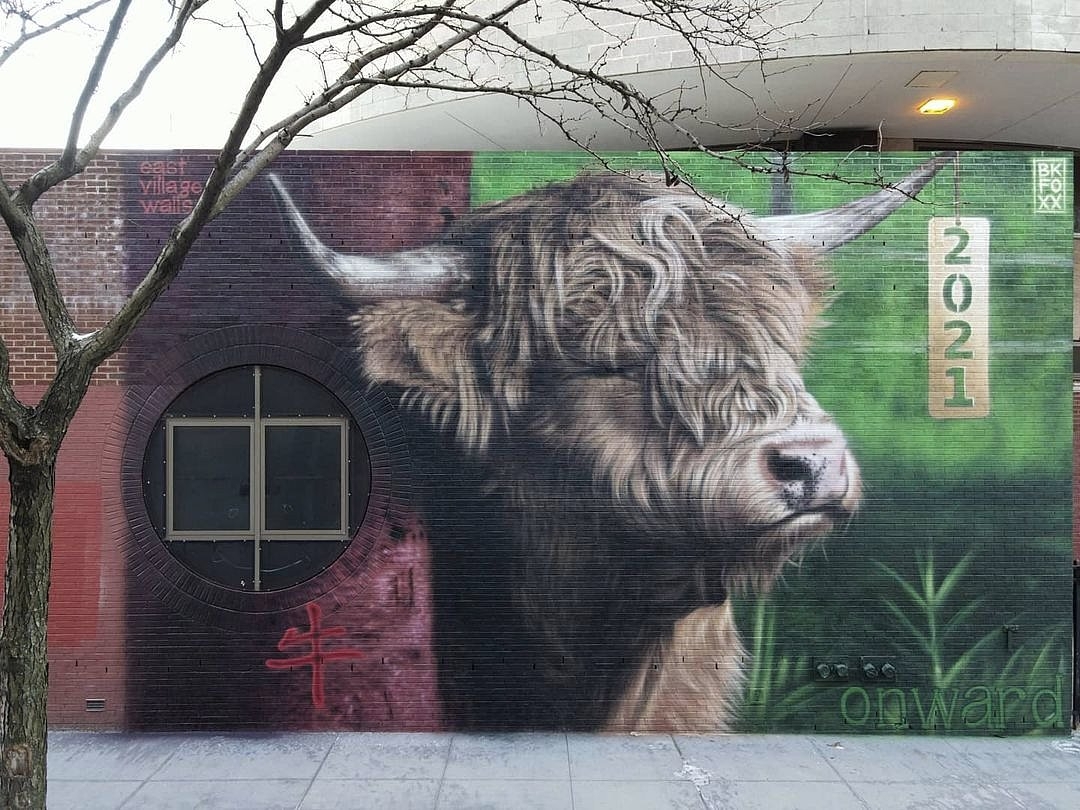 BKFoxx @ New York, USA