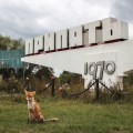 A tame fox poses in front of the sign pointing the way to Pripyat from the Chernobyl Nuclear Power Plant. Chernobyl Exclusion Zone by Darmon Richter