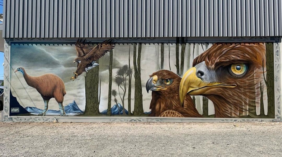 Dcypher @ Bluff, New Zealand