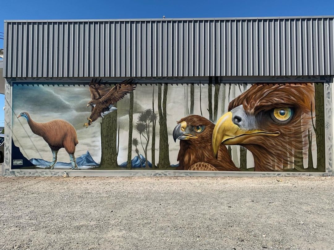 Dcypher @ Bluff, New Zealand