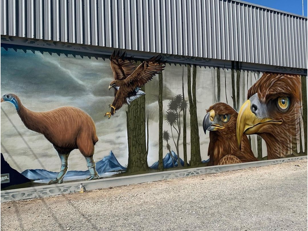 Dcypher @ Bluff, New Zealand