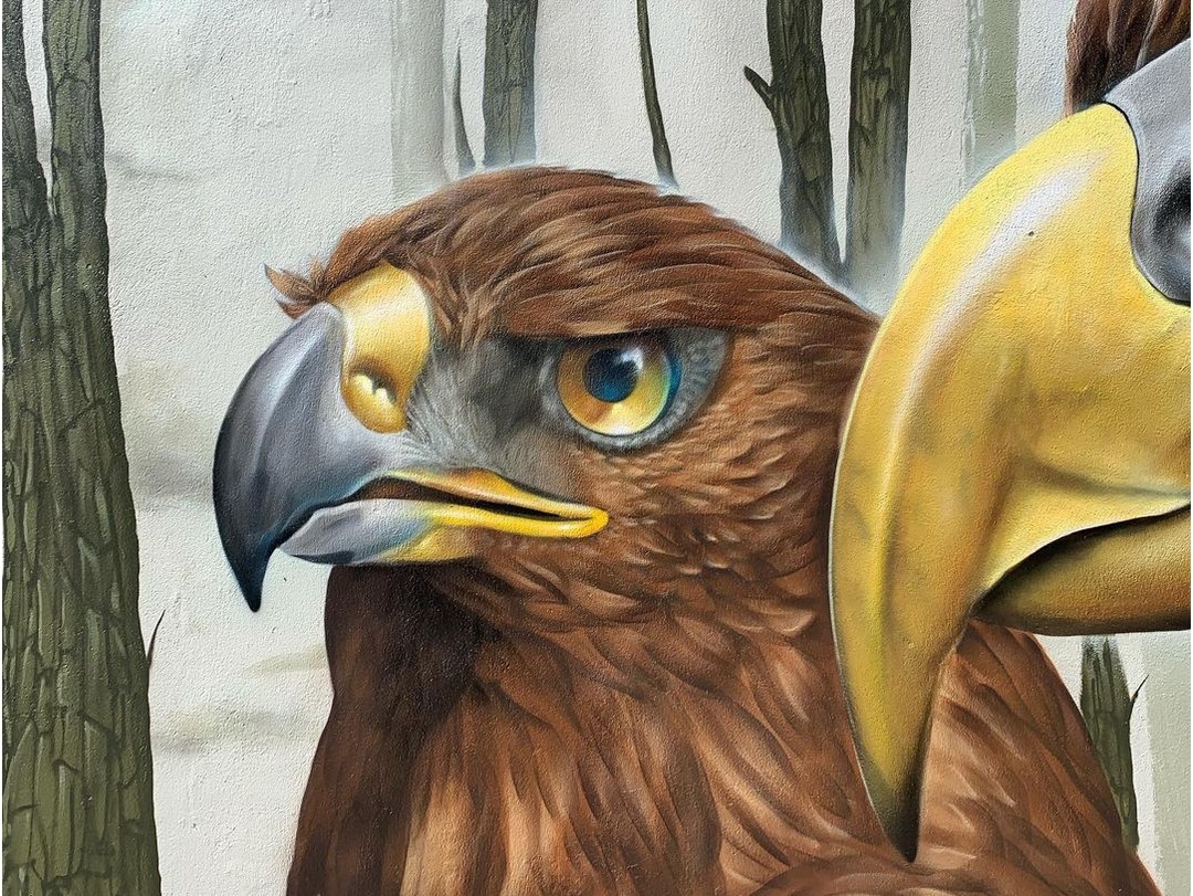 Dcypher @ Bluff, New Zealand