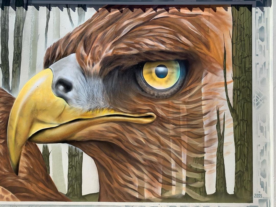 Dcypher @ Bluff, New Zealand