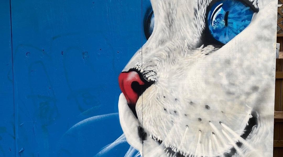 Jahnraw @ Austin, USA