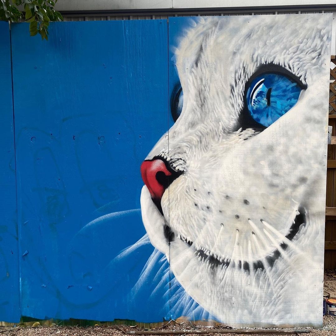 Jahnraw @ Austin, USA