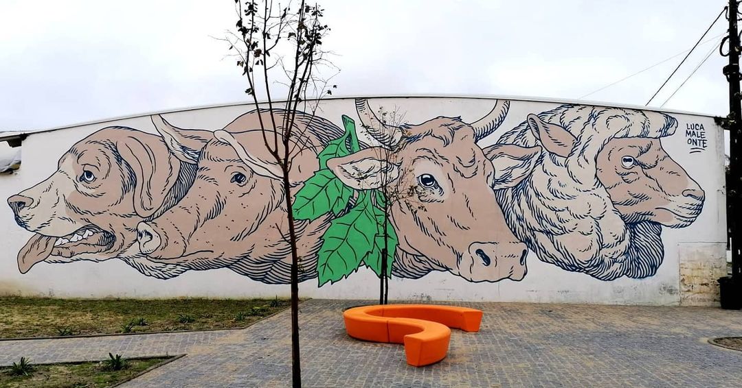 Lucamaleonte @ Ponte de Sor, Portugal