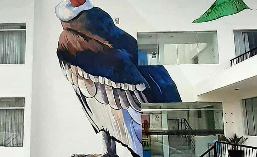 Marko Franco Domenak @ Arequipa, Peru