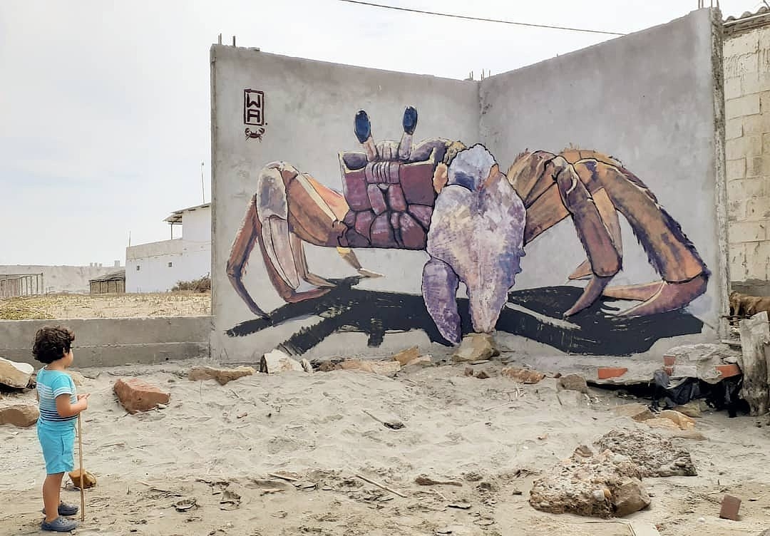 Marko Franco Domenak @ Colán, Peru