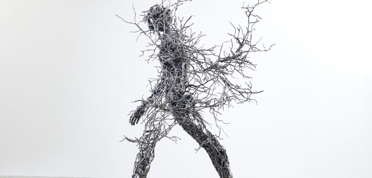 Regardt Van Der Meulen