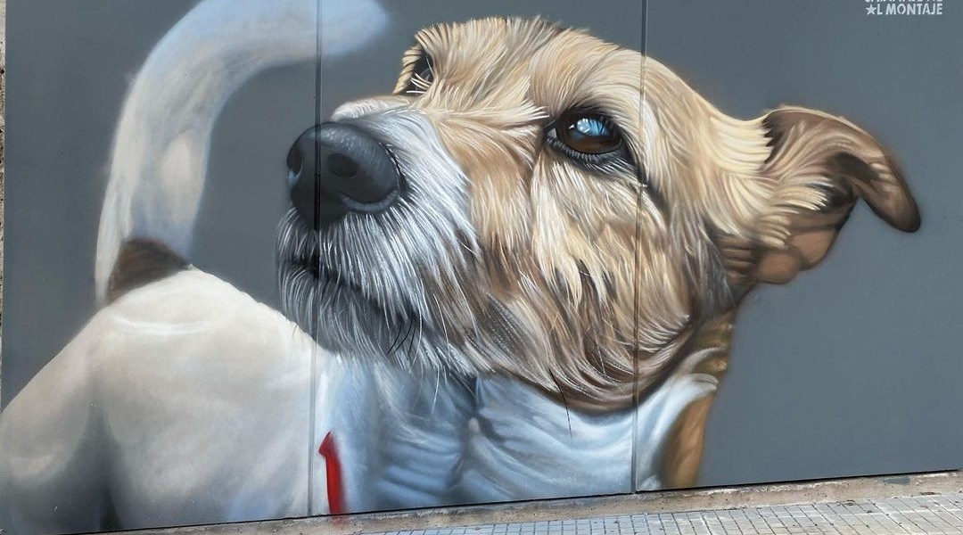 Sabotaje Al Montaje @ Santa Cruz de Tenerife, Spain