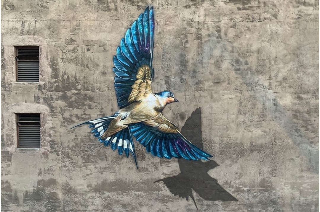 Sarah C. Rutherford @ Rochester, USA