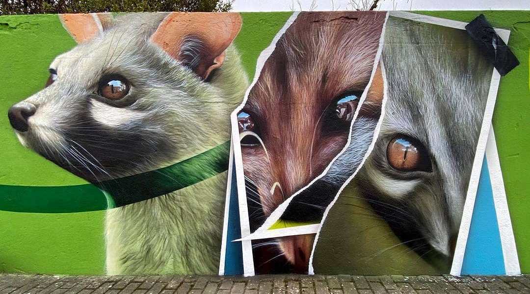 Smile @ Azeitão, Portugal