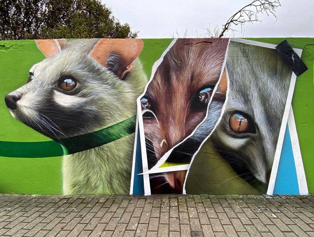 Smile @ Azeitão, Portugal