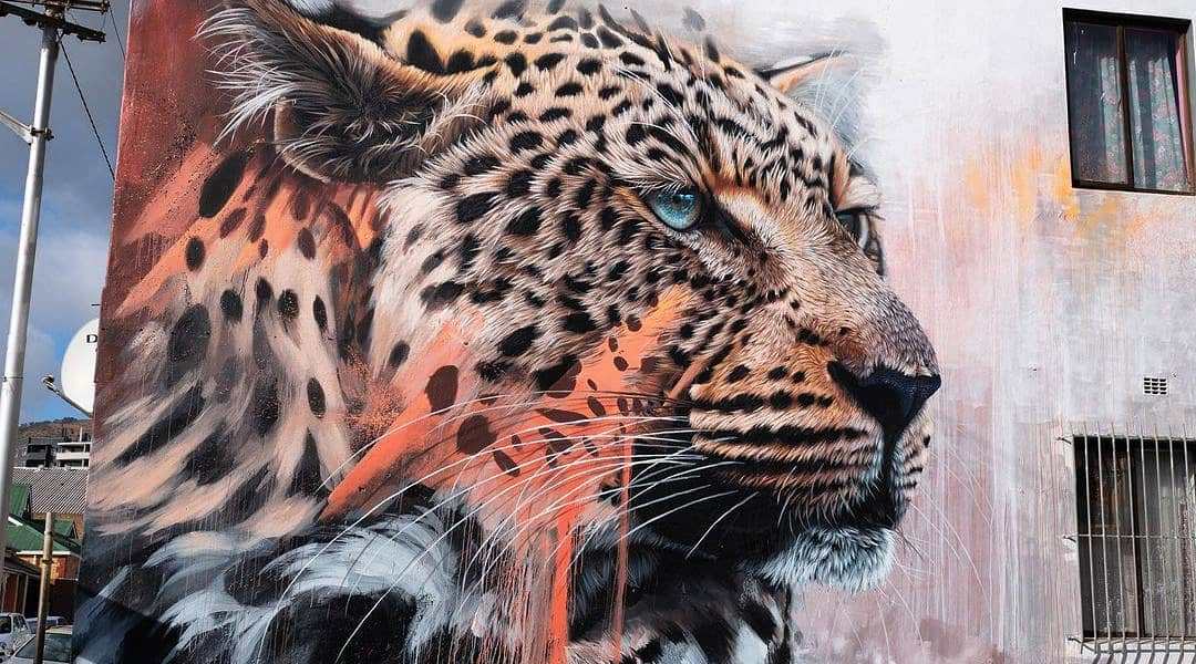 Sonny @ Cape Town, South Africa