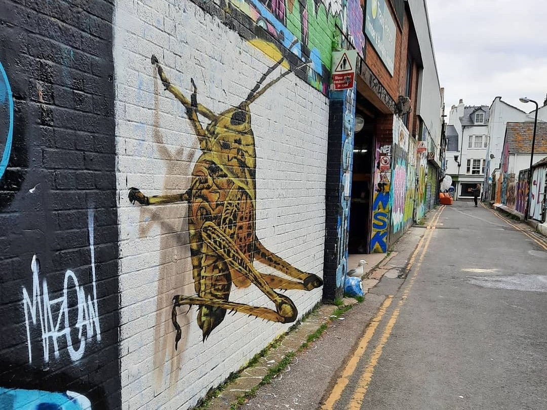 Bob Kasamakus @ Brighton, UK