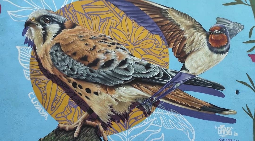 Gabz @ Santo Domingo, Dominican Republic