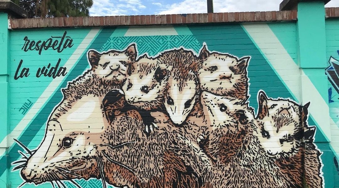 Juegasiempre @ Bogota, Colombia